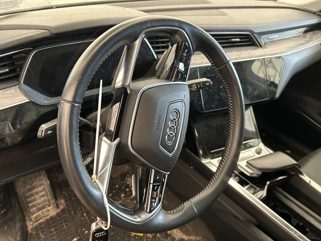 AUDI E-TRON PREMIUM PLUS 2021 - 14